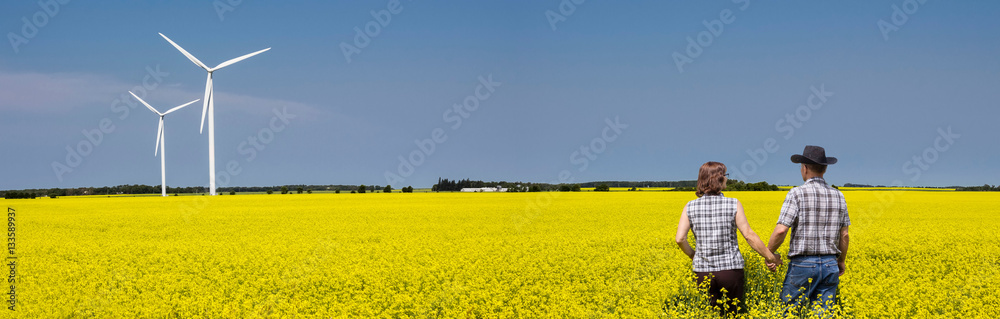 panoramic image of a caucasian farming couple walking  through their yellow canola field with two large white turbines turning in the distance in the warm summer afternoon.
