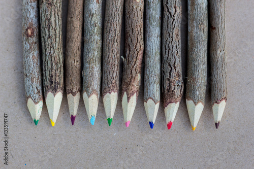 set of wooden color pencil from tree branch