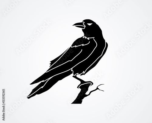 Crow art graphic vector.