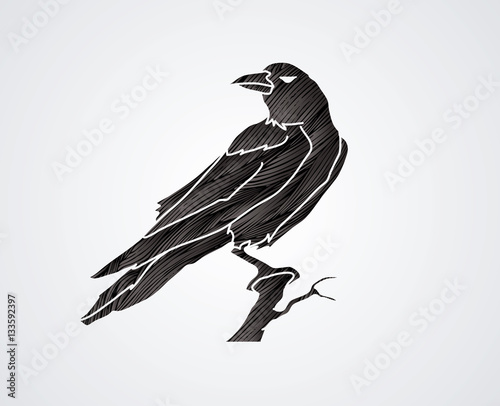 Crow designed using black grunge brush graphic vector.