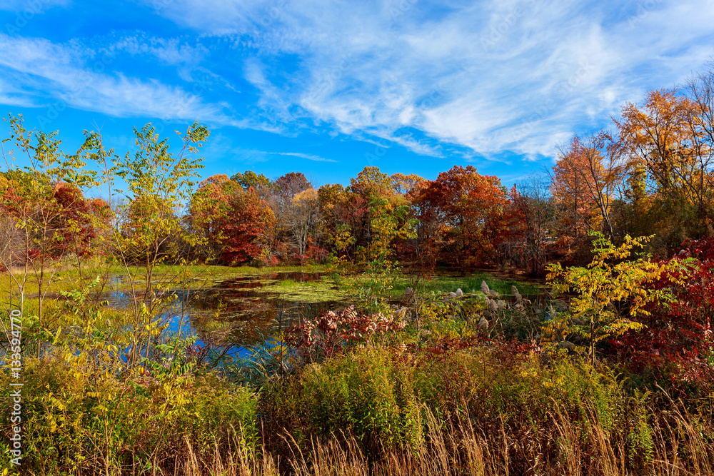 Fototapeta premium colorful autumn forest lake river sky clouds cloud