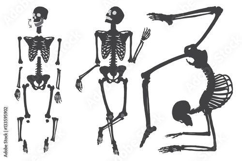 Human skeleton. Black on white. Set do it yourself with moving arms, legs, skull and wrist. Vector