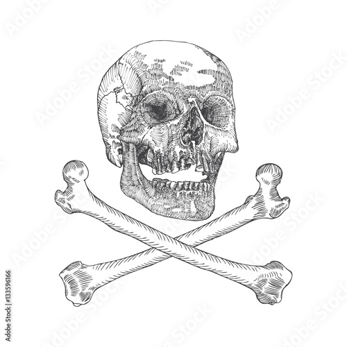 Skull with crossbones. Danger for life and occult witch craft magic symbol. Handmade detailed drawing. Vector illustration.