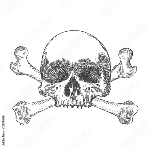 Skull with crossbones. Danger for life and occult witch craft magic symbol. Handmade detailed drawing. Vector illustration.