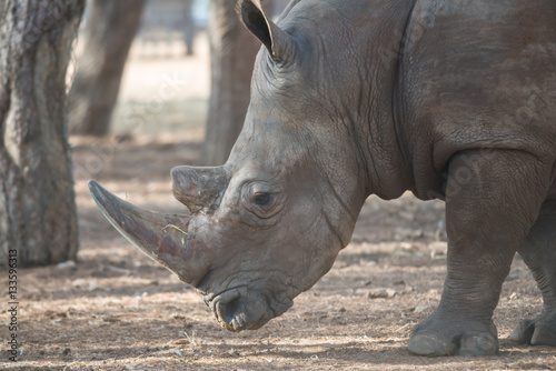 Visit to Safari Ramat Gan