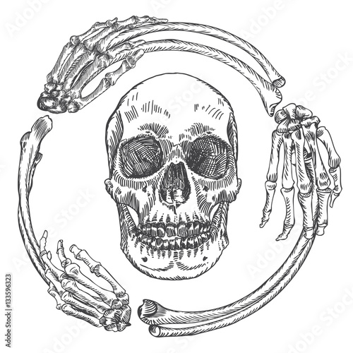 Skull in the frame made of hands bones. Occult witch craft magic portrait of the dead human head. Handmade detailed drawing. T-shirt print vector illustration.