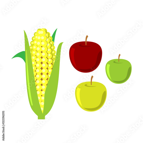 Corn cobs on white background. Vector set.