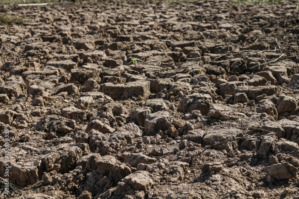 Crack ground mud background. Crack ground mud background.