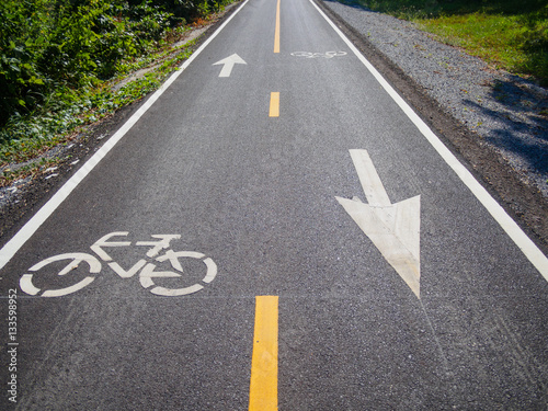 White bicycle sign and symbol on bicycle lane or asphalt road