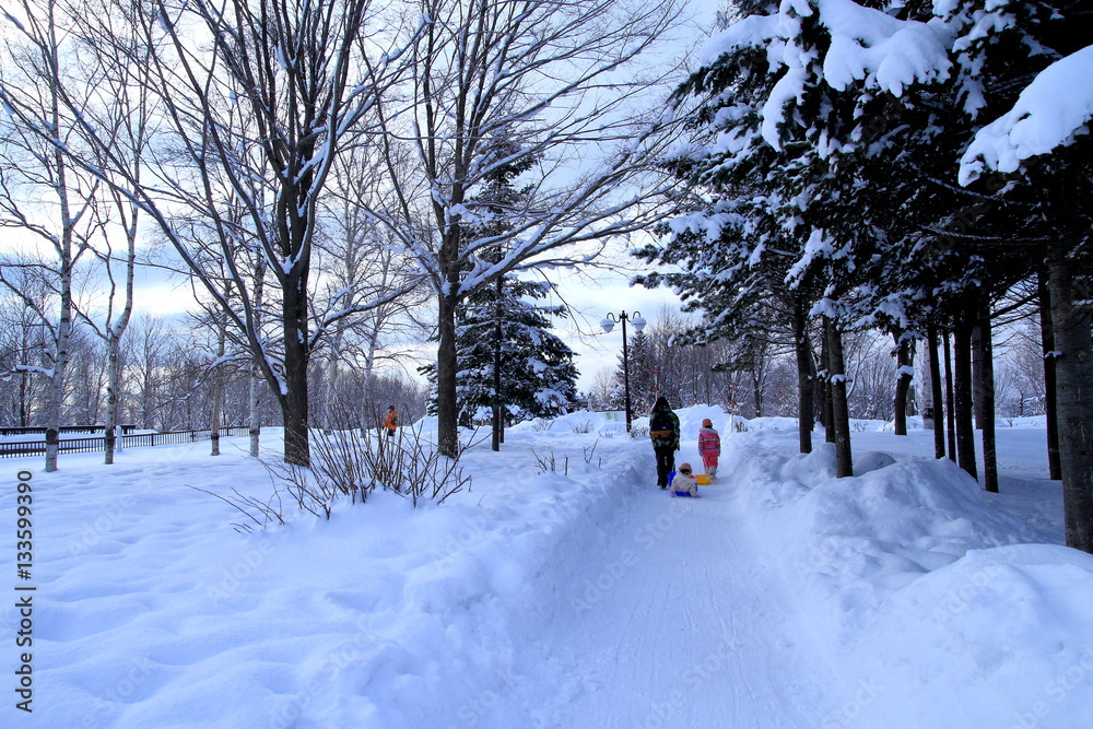 Sapporo winter scenery Sapporo winter scenery