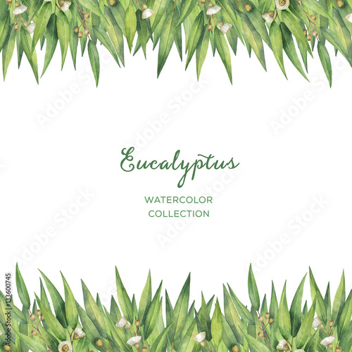 Fototapeta Naklejka Na Ścianę i Meble -  Watercolor green floral card with eucalyptus leaves and branches isolated on white background.