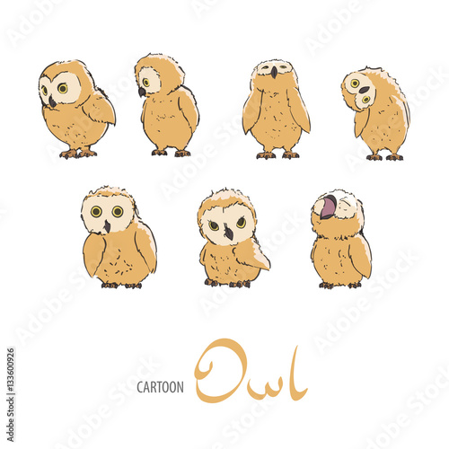 Cute owlet set