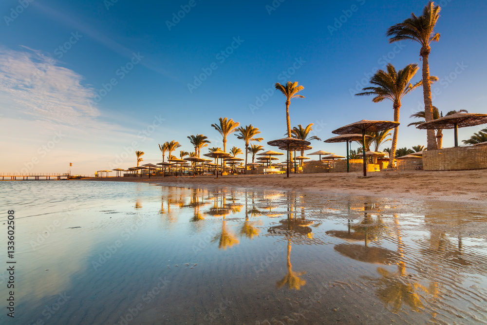 Fototapeta premium Beautiful sandy beach with palm trees at sunset. Egypt