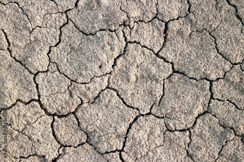 A grungy dry cracking parched earth for textural background A grungy dry cracking parched earth for textural background
