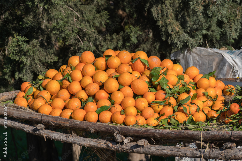 oranges for sale at a market

