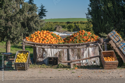 oranges for sale at a market
