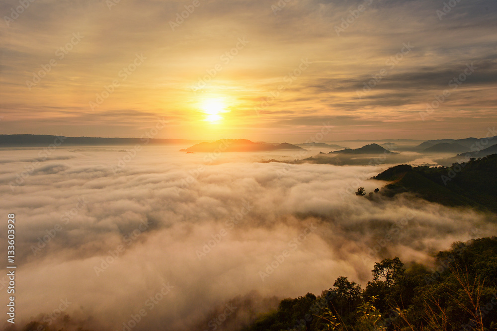 Mountain Mist in sunrise,sunlight effact