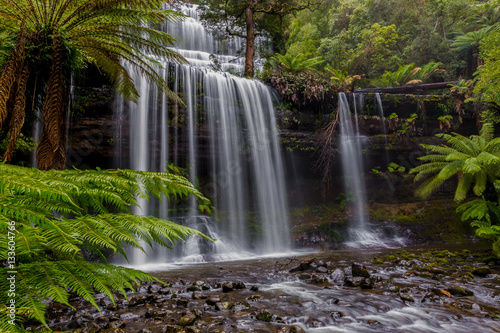 Russell Falls  Tasmania  Australia
