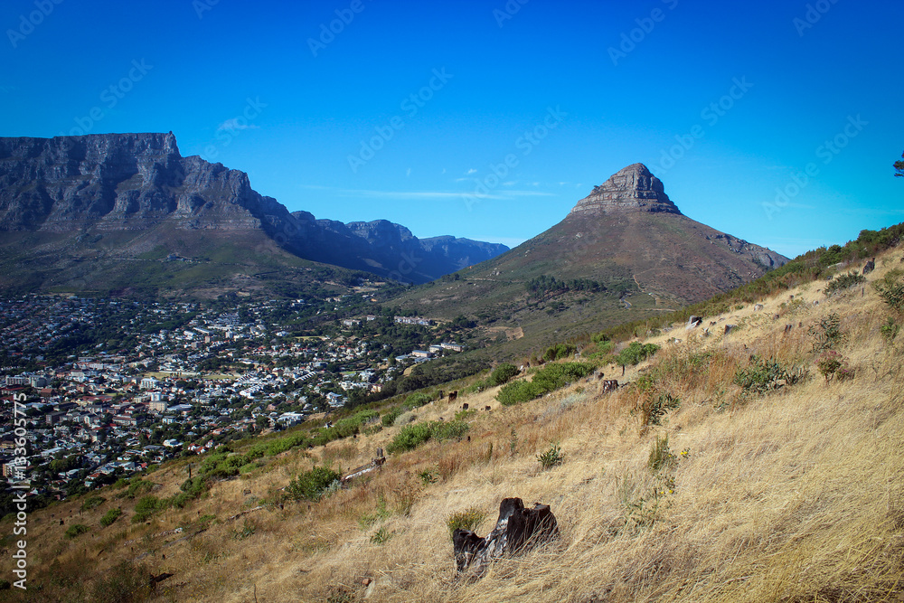 View on Table Mountain and Lion's Head from Signal Hill, Cape Town, South Africa View on Table Mountain and Lion's Head from Signal Hill, Cape Town, South Africa