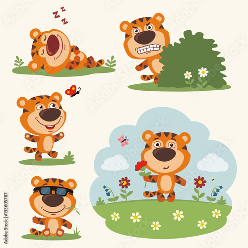 Fototapeta Naklejka Na Ścianę i Meble -  Vector set funny tiger in different poses on summer meadow with flowers. Collection little tiger in cartoon style.