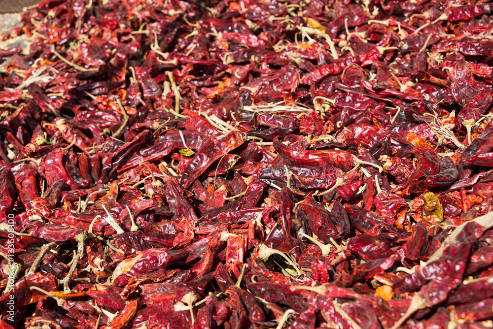 Fototapeta premium Red Paprika growing at Bethlehem of Galilee