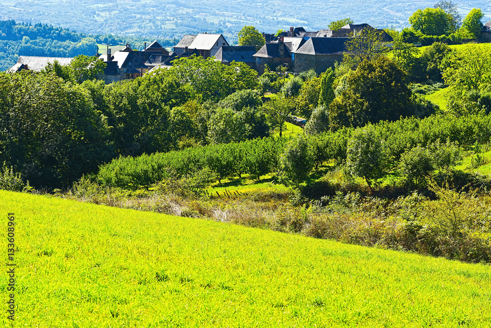 Obraz premium French Town