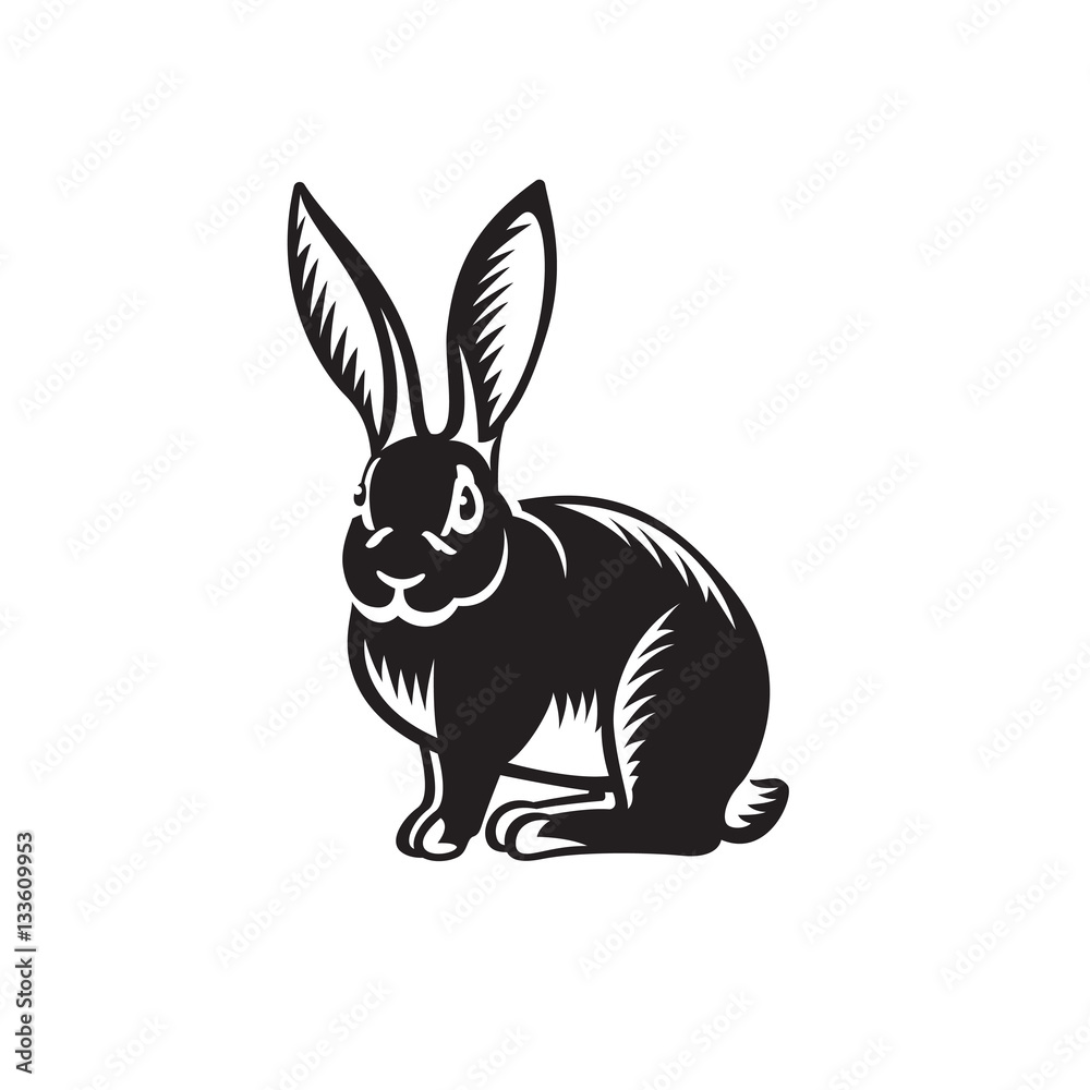 Fototapeta premium Rabbit illustration on white background.
