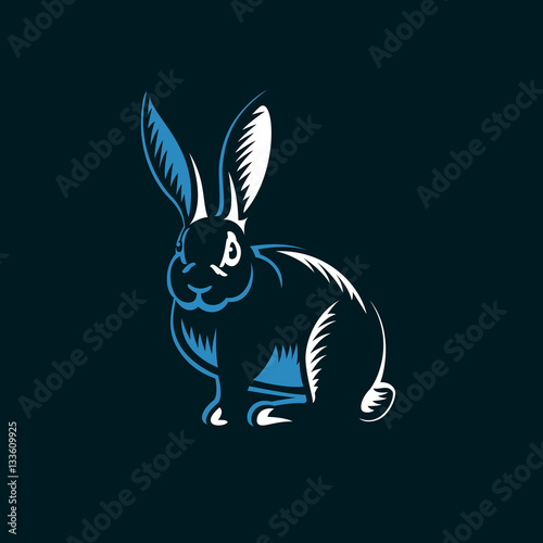 Rabbit illustration on black background.