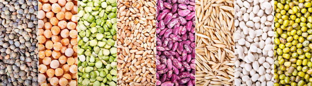 collage of various cereals, seeds, beans and grains - obrazy, fototapety, plakaty 