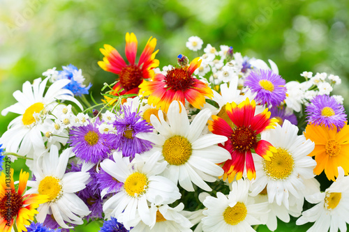 bouquet of summer flowers on green background