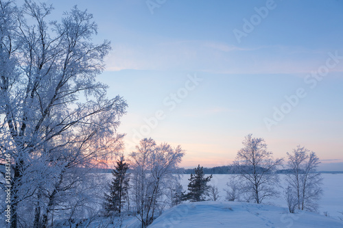 Frozen tree branches