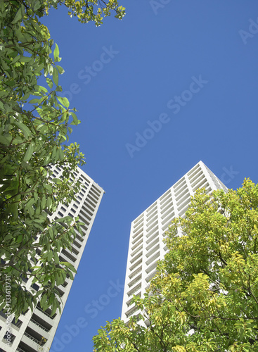 高層ビルと新緑 © asirf444