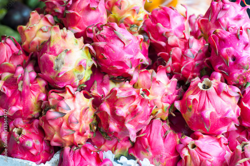 photo of fresh dragon fruit, you can use as a billboard market photo of fresh dragon fruit, you can use as a billboard market
