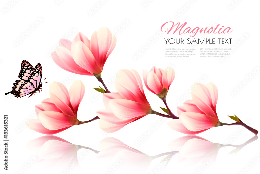 Fototapeta premium Beautiful pink magnolia background with butterfly. Vector.