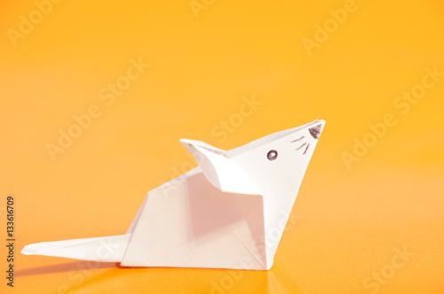 Paper origami mouse isolated on the colorful background