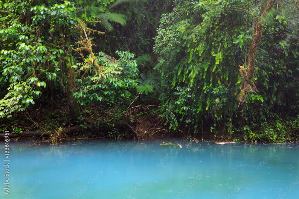 Rio celeste and vegetation Rio celeste and vegetation