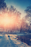 wonderful winter scene. Birch on the river in winter. Backlight, sunset, fascinating, picturesque landscape. color in nature.