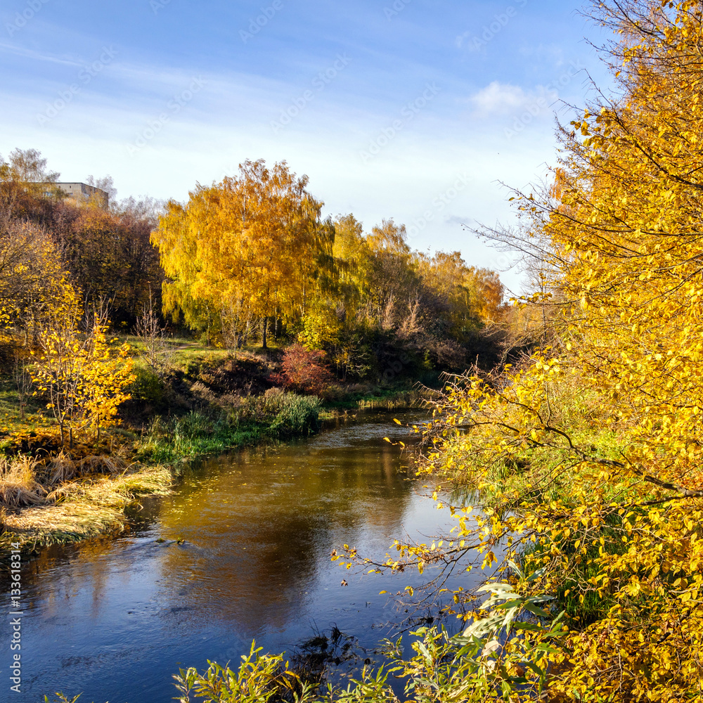 Wonderful autumn landscape, with trees in forest, at the river.