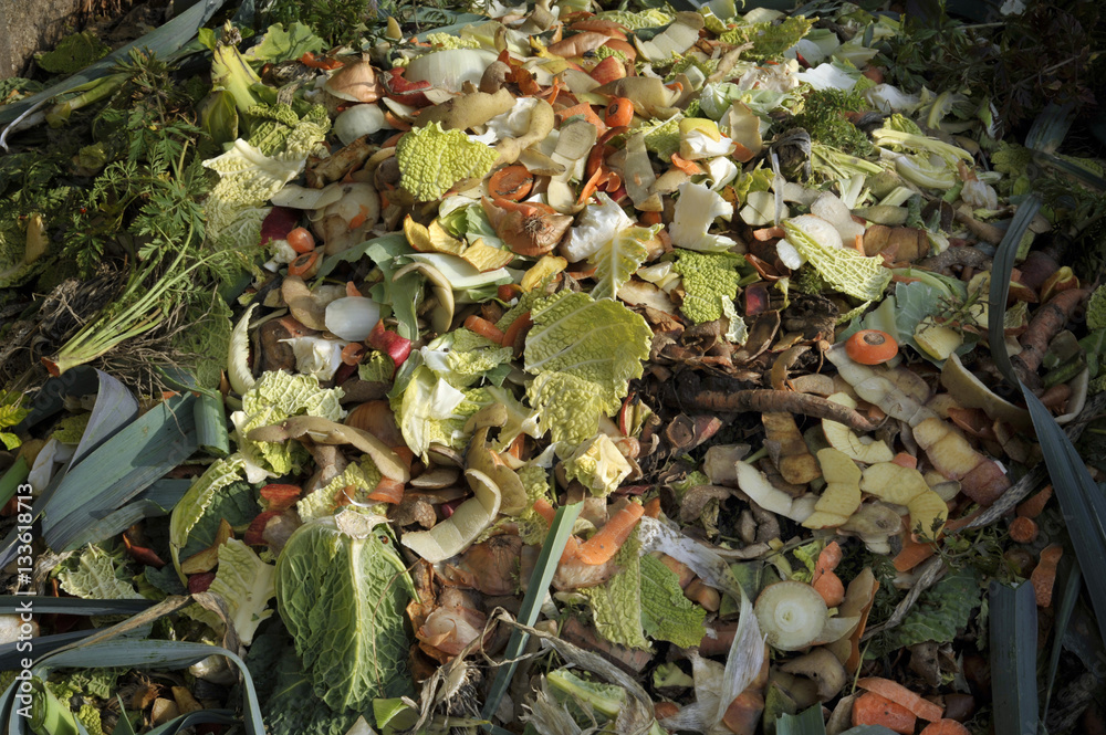 compost heap