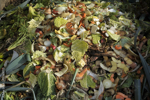 Obraz na płótnie compost heap w salonie
