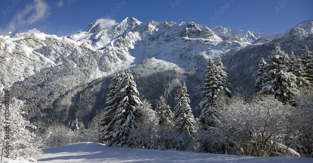 Aerial Views of an Alpine Valley and High Mountains covered in Fresh Snow
