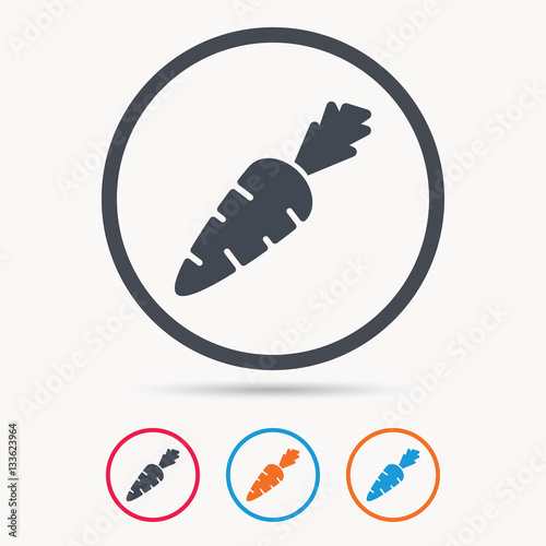 Carrot icon. Fresh natural vegetable symbol. Vegetarian food. Colored circle buttons with flat web icon. Vector