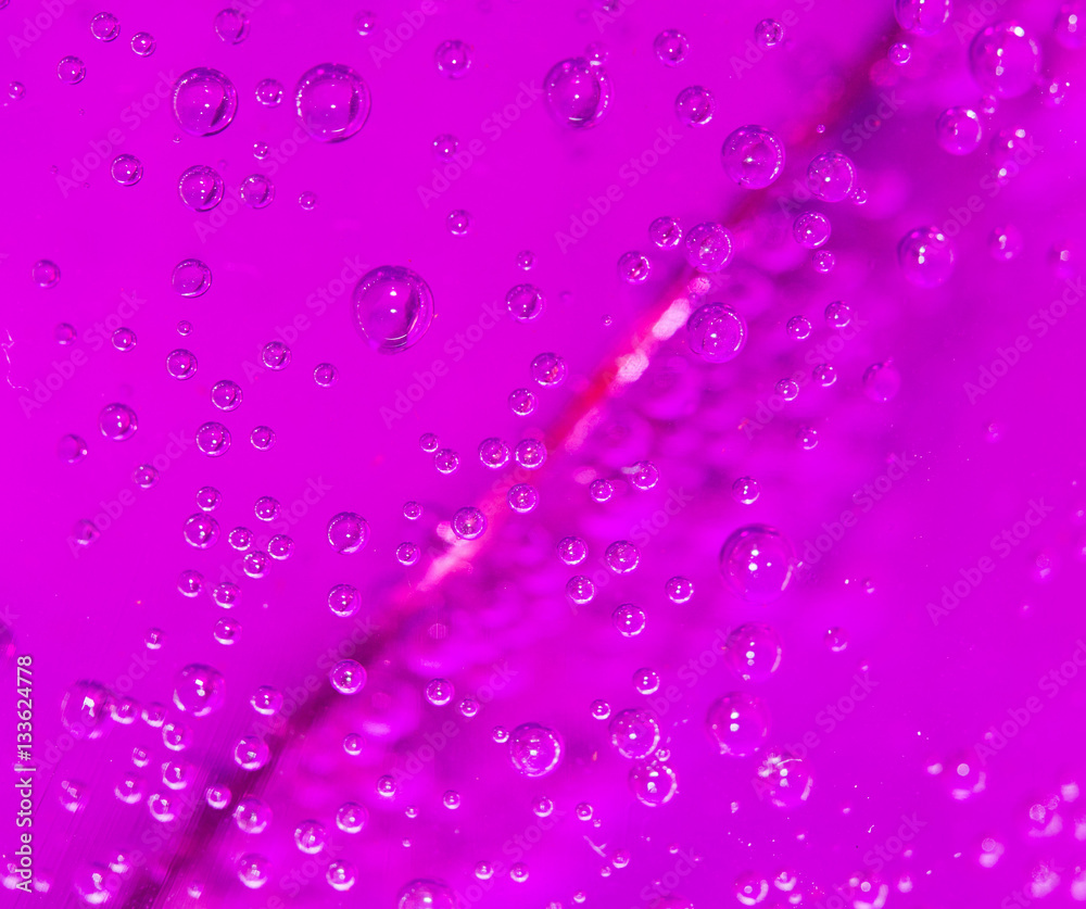 purple bubbles in water close-up abstract background