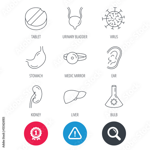 Achievement and search magnifier signs. Virus, tablet and stomach organ icons. Liver, kidney and urinary bladder linear signs. Medic mirror, ear and lab bulb flat line icons. Hazard attention icon