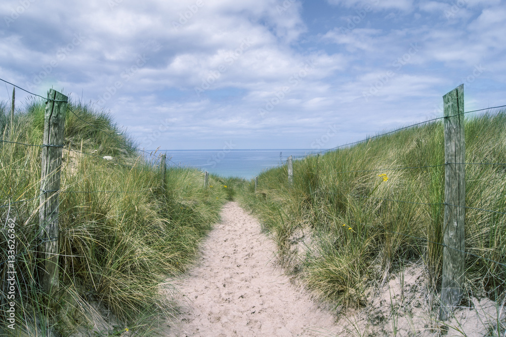 Path in the dunes at the beach