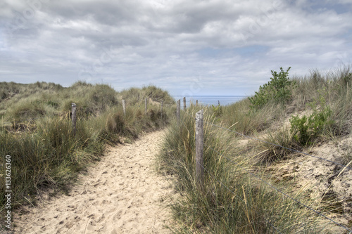 Path through the dunes at the beach