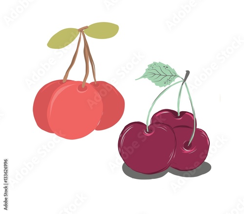 Organic Fruit Illustration