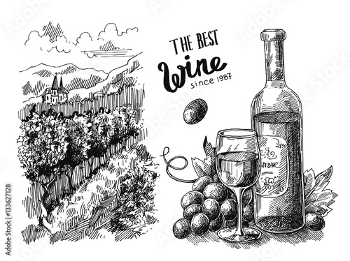 vector illustrations vineyard