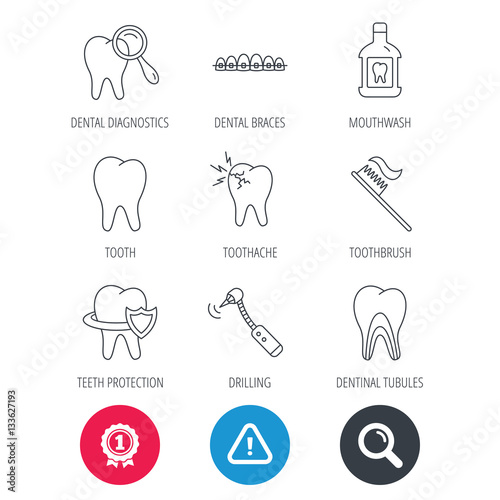Achievement and search magnifier signs. Tooth, dental braces and mouthwash icons. Diagnostics, toothbrush and toothache linear signs. Dentinal tubules, protection flat line icons. Vector