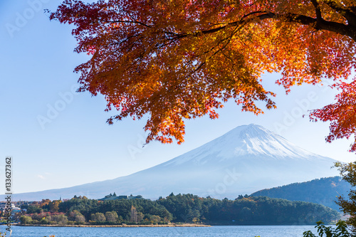 Fuji and maple tree in Lake Kawaguchi